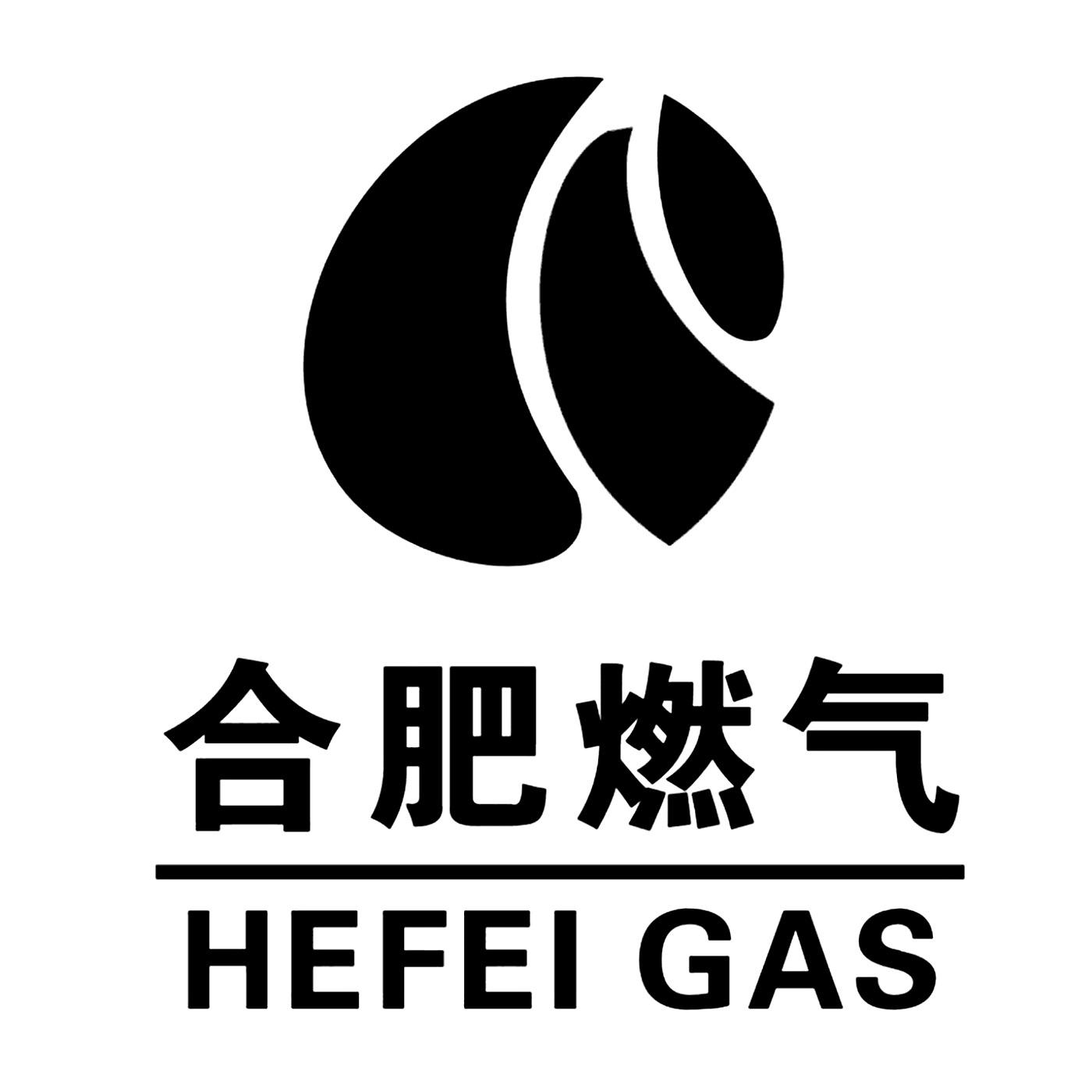 合肥燃?xì)?>
                            </div>
                            <p id=